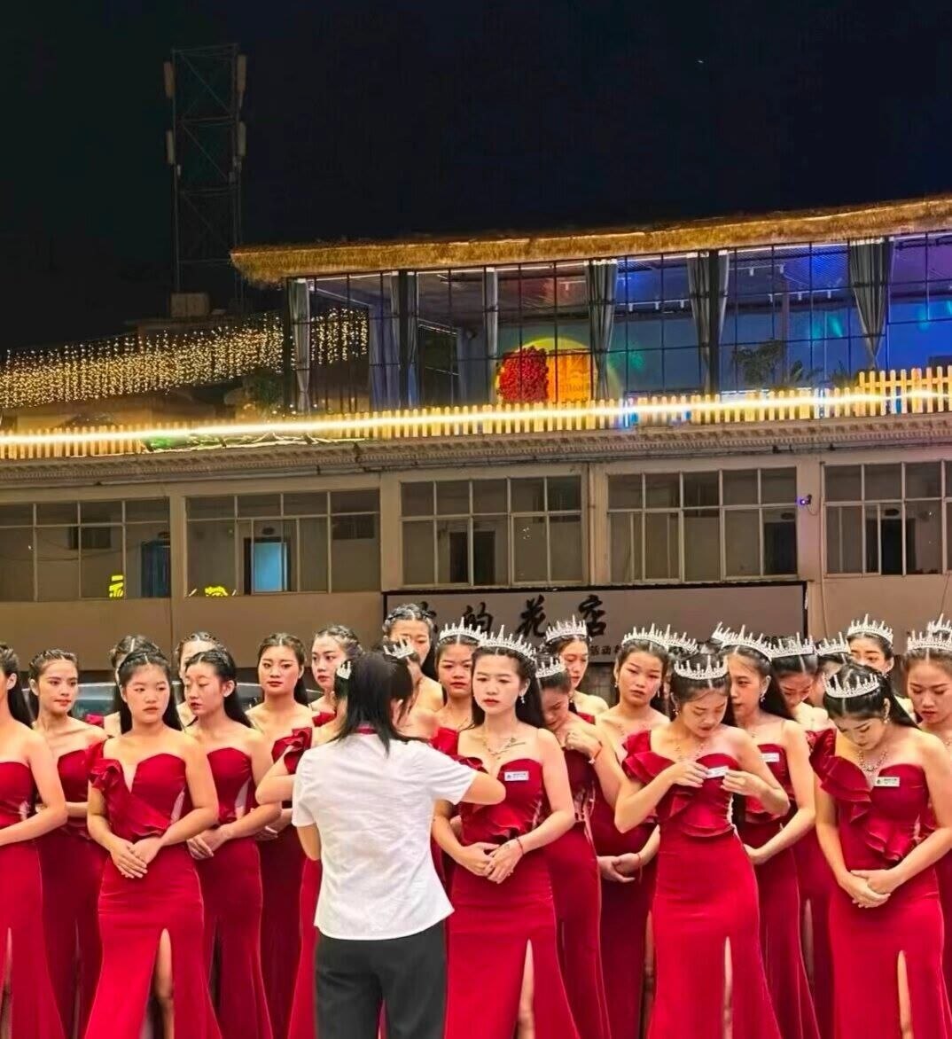 高级会员